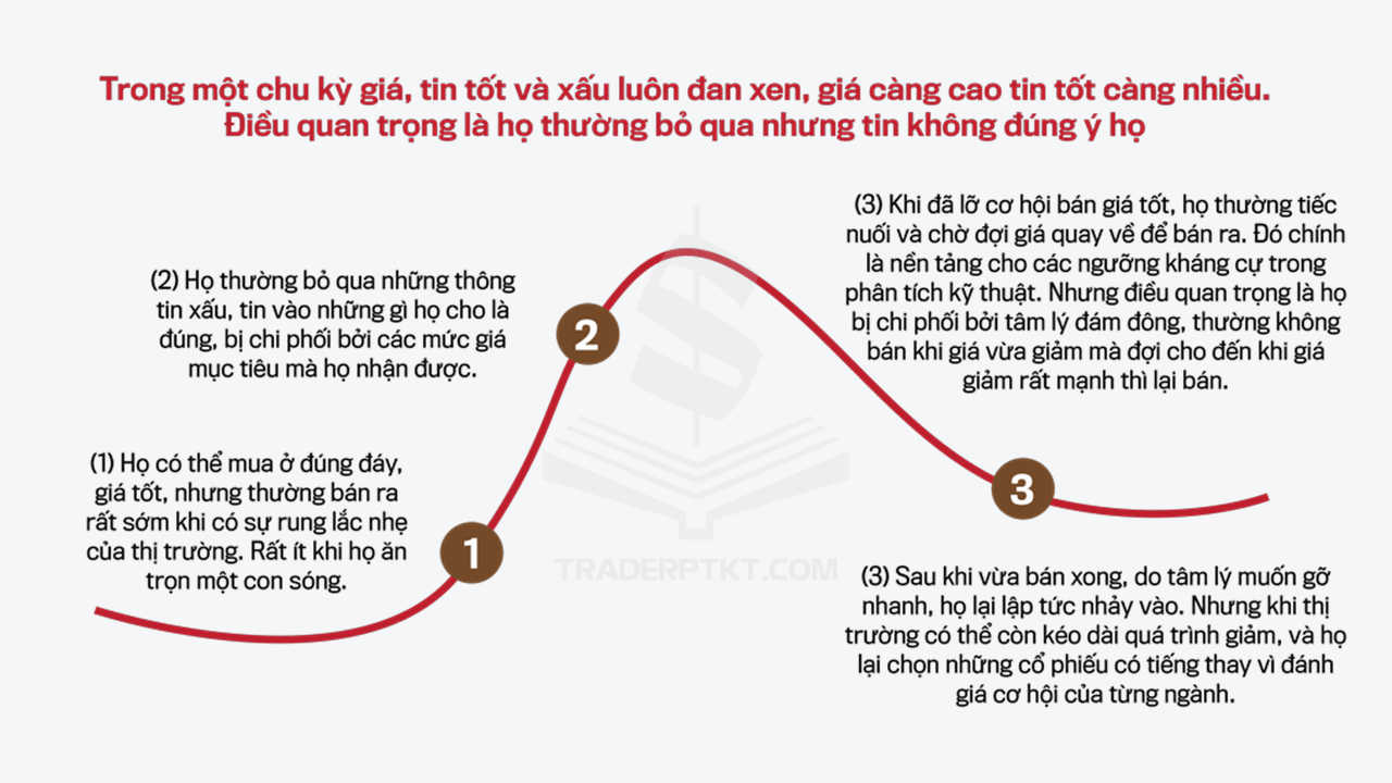 Thuyết tài chính hành vi của nhà đầu tư