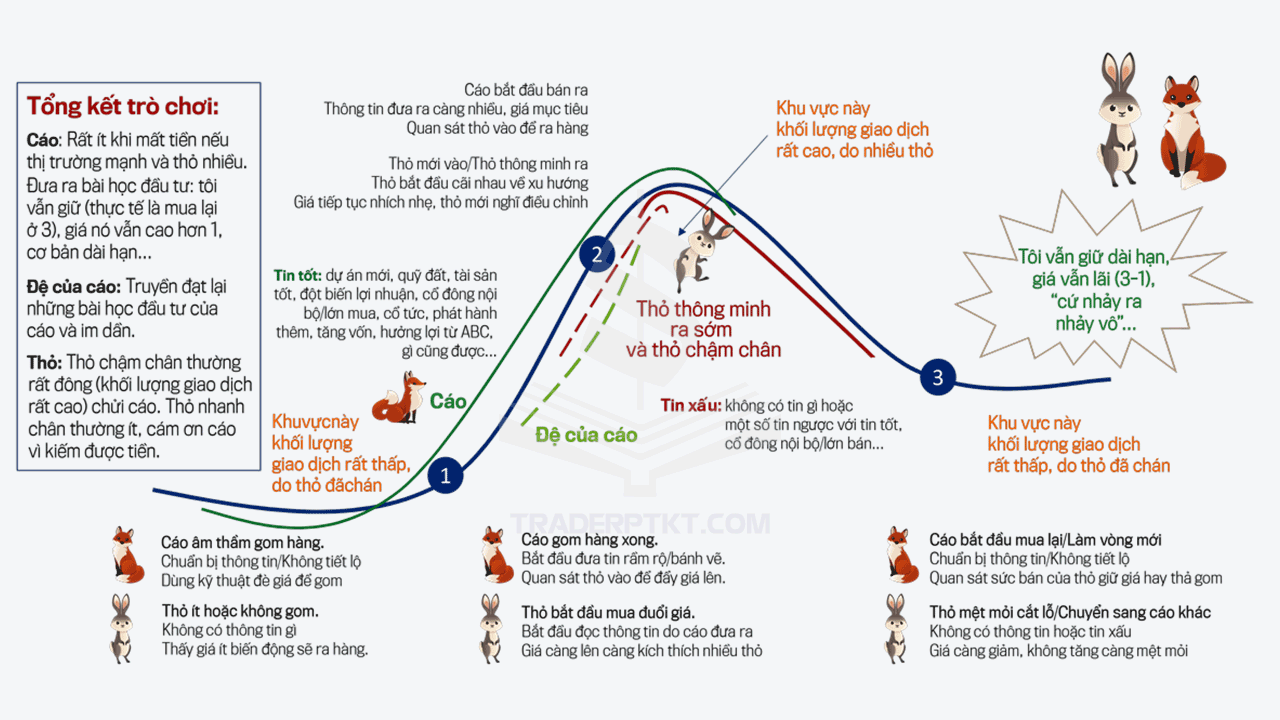 Trò chơi giữa cáo và thỏ thể hiện quy luật thị trường