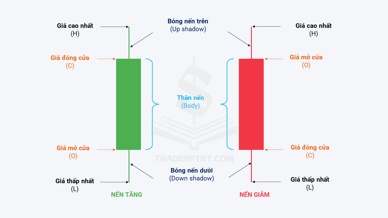 Cấu tạo nến Nhật