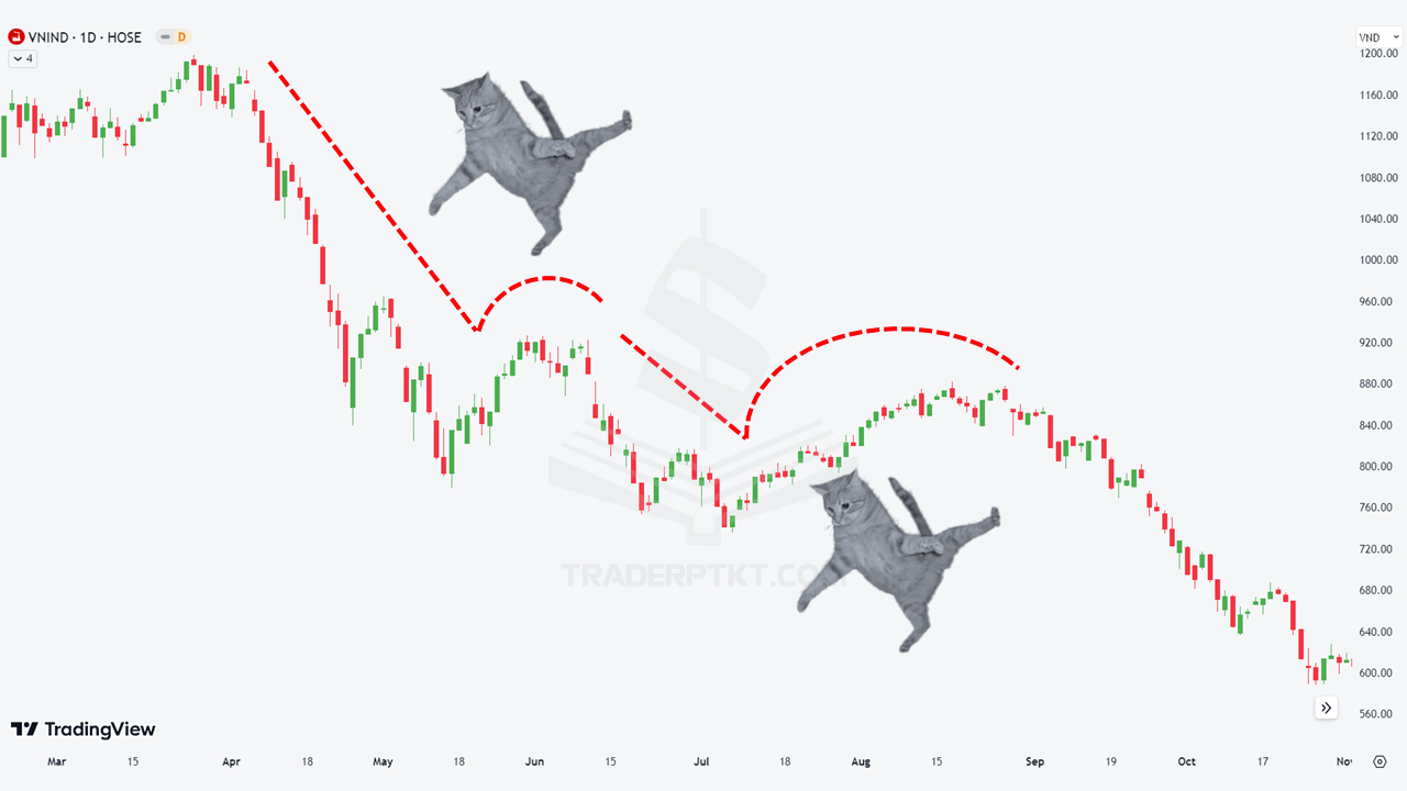 Dead-Cat Bounce không phải là tín hiệu tích cực mà chỉ là nhịp tăng ngắn rồi tiếp tục giảm sau đó.
