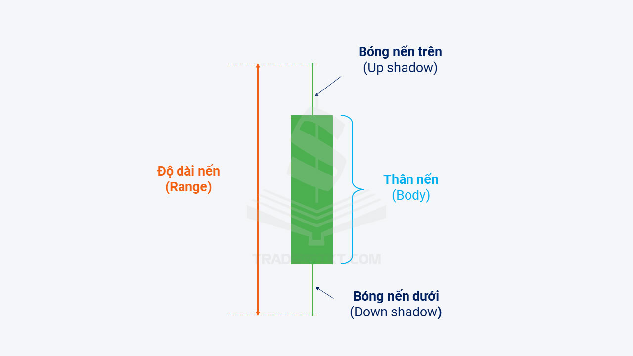 Độ dài nến và Thân nến