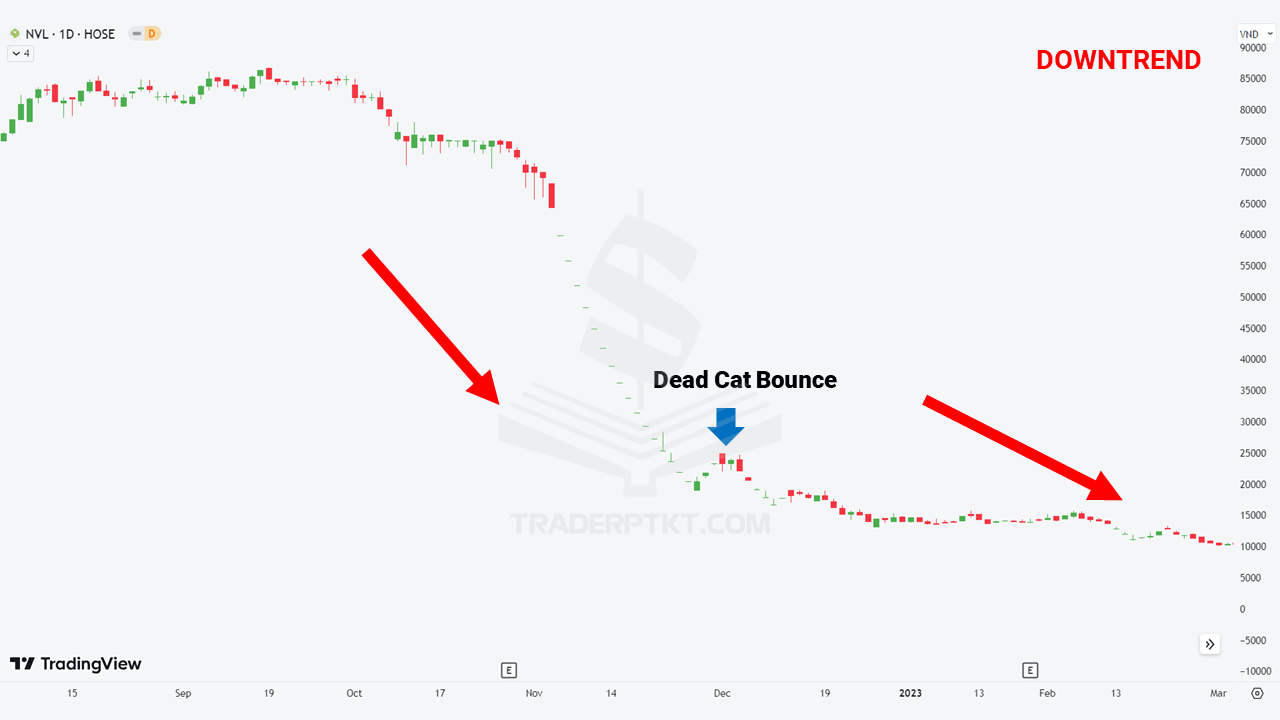 Đồ thị giá cổ phiếu NVL xuất hiện Dead cat boune trước khi giảm sâu hơn