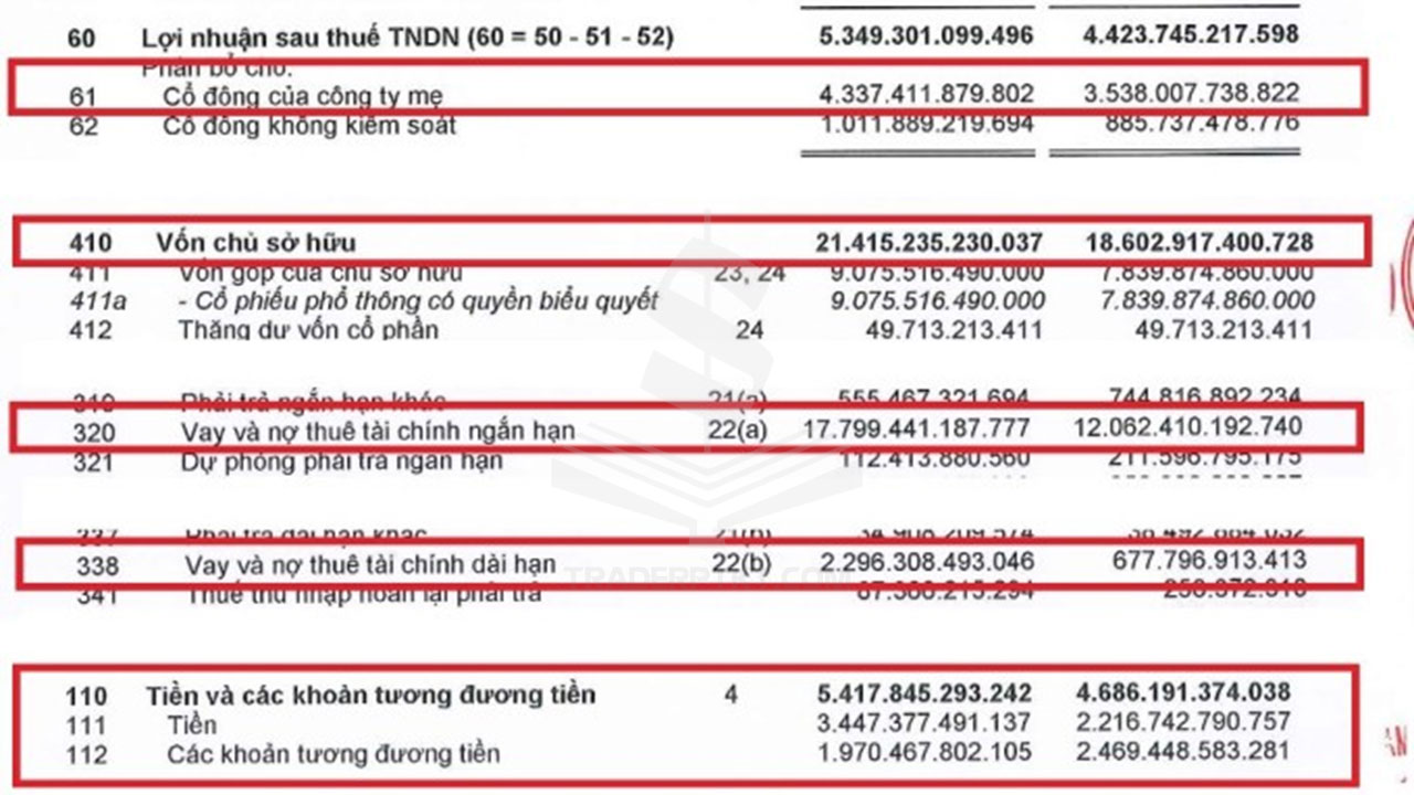 Ví dụ báo cáo tài chính hợp nhất có kiểm toán năm 2021 của Tập đoàn F