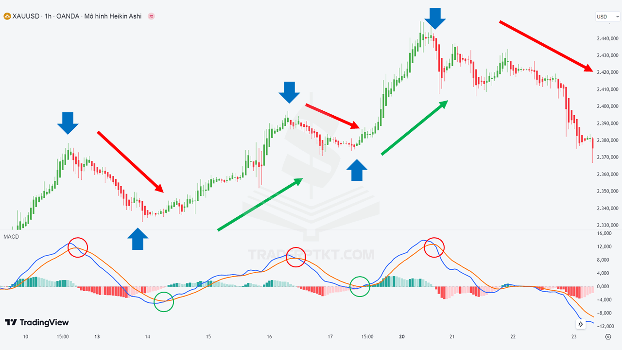 Hệ thống giao dịch Heiken Ashi và MACD