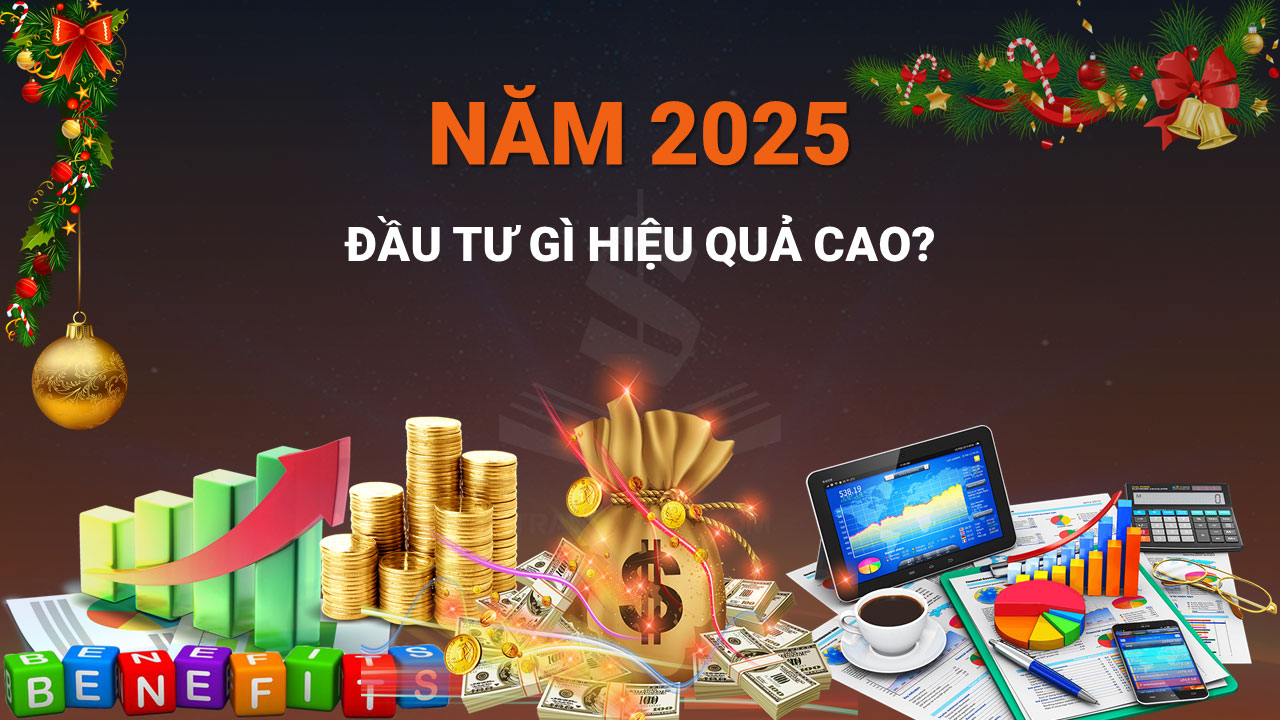 Chiến Lược Đầu Tư Trong Năm 2025 Là Gì?