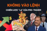 Không Vào Lệnh Cũng Là Một Chiến Lược