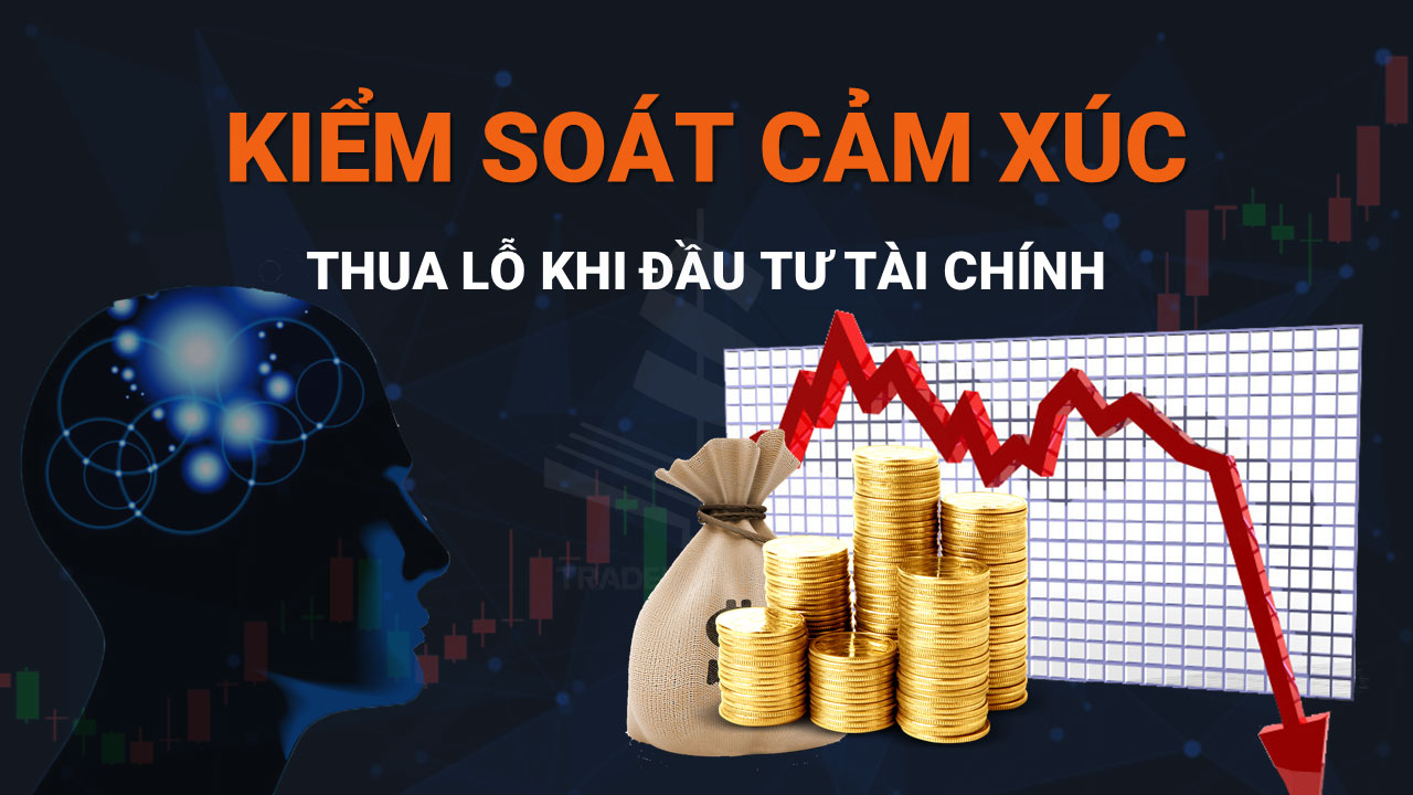 Kiểm Soát Cảm Xúc Thua Lỗ Khi Đầu Tư Tài Chính