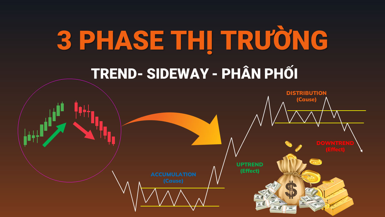 Xác Định Phase Thị Trường (Trend – Sideway – Phân Phối) Bằng Heiken Ashi